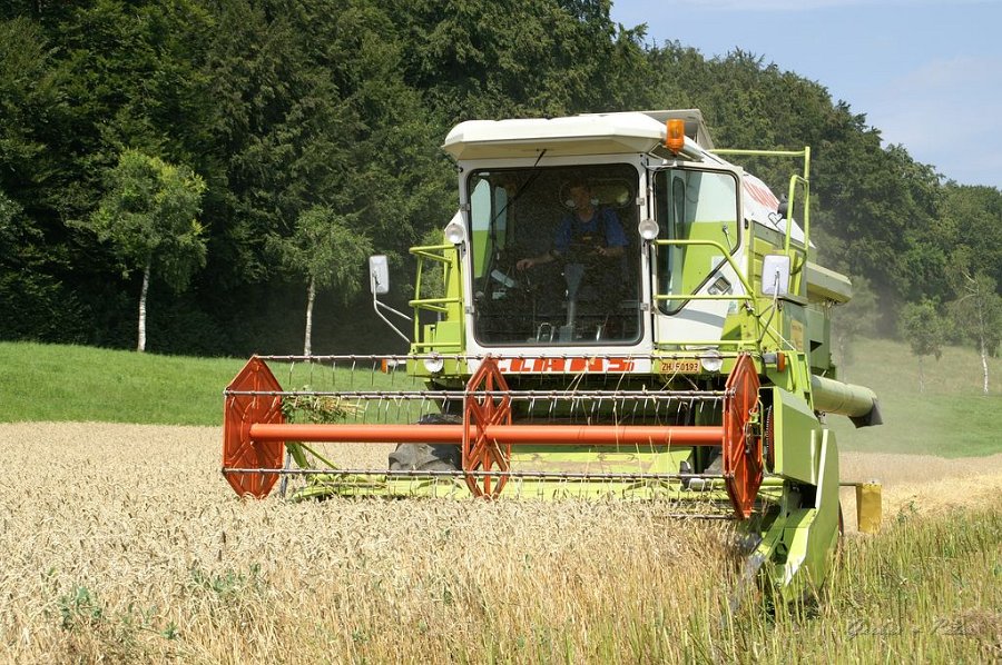 Claas Drescher 59